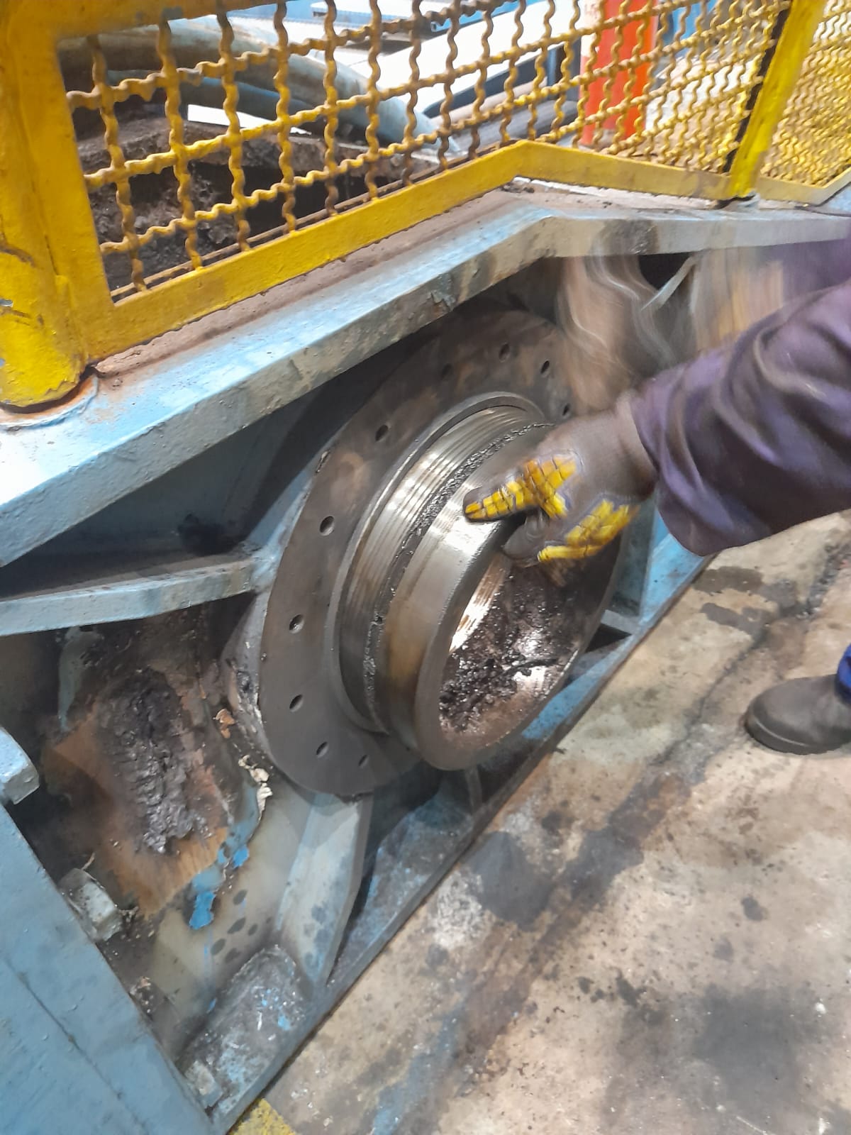 WhatsApp Image 2023-02-21 at 09.42.16.jpeg