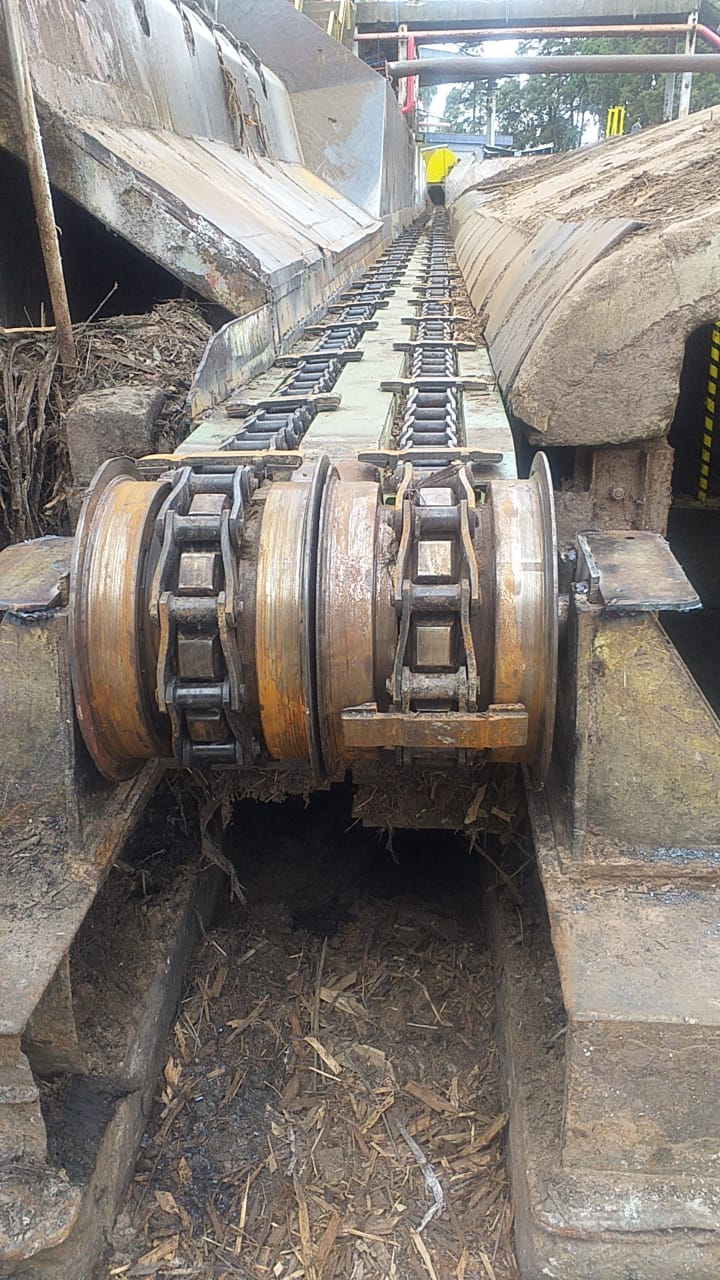 WhatsApp Image 2021-04-27 at 19.43.46.jpeg